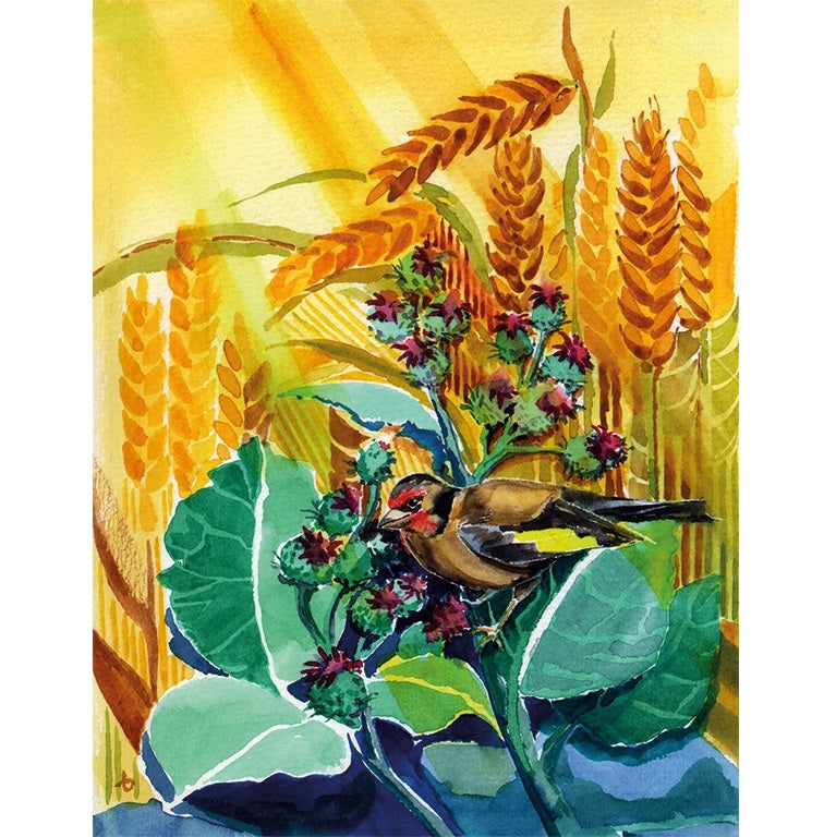 Kalender De vier jaargetijden