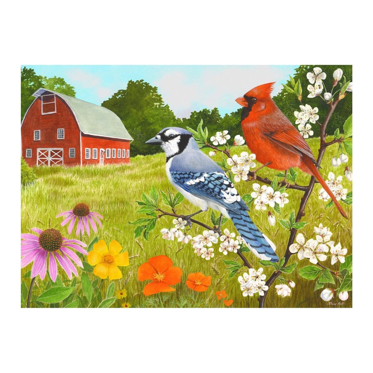 Puzzel - Vogeltjes in de zomer - 13 stukjes
