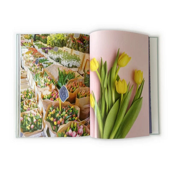 Het Grote Prentenboek – Beeldverhalen die creativiteit en herinneringen stimuleren voor ouderen.