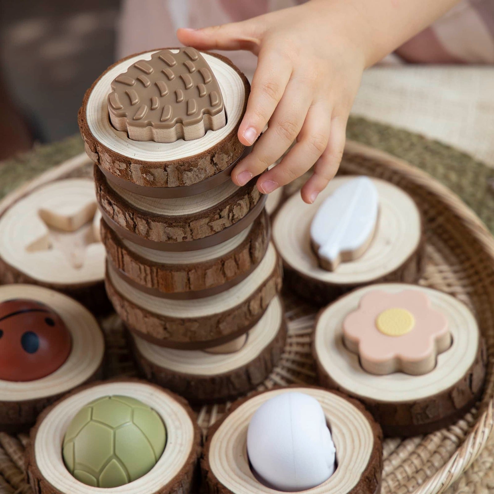 Afbeeelding van het spel Sorteerspel Natuur - Voel en Vind, speciaal geselecteerd  voor ouderen met dementie.