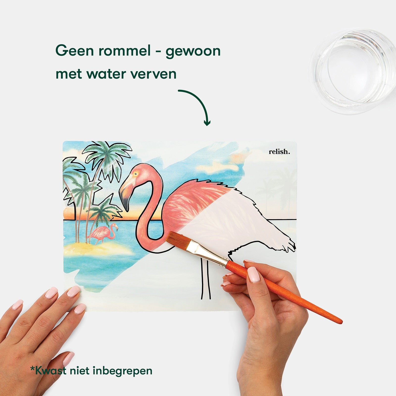 Schilderen met water - Prachtige vogels