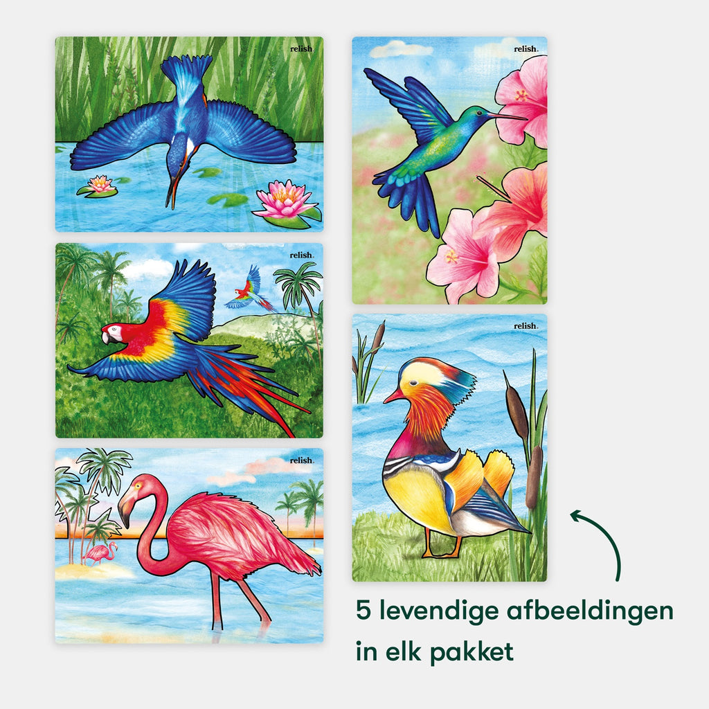 Schilderen met water - Prachtige vogels