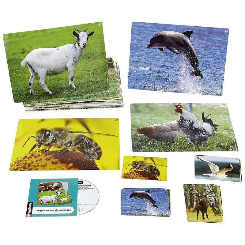 Foto Box - Dierengeluiden en Prentenboek