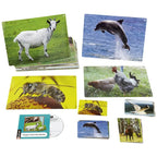 Foto Box - Dierengeluiden en Prentenboek