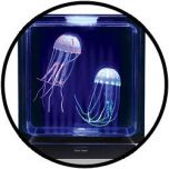 Aquarium Kwallen Vierkant