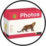 Foto Box - Dieren