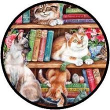 Puzzel - Katten in de Boekenkast (500 XL)