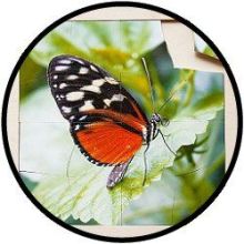 Puzzel Vlinder - hout 16 delig